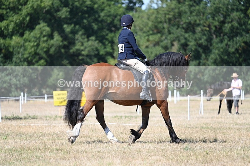 WJ7_0740 - Time 12:03 to 12:23