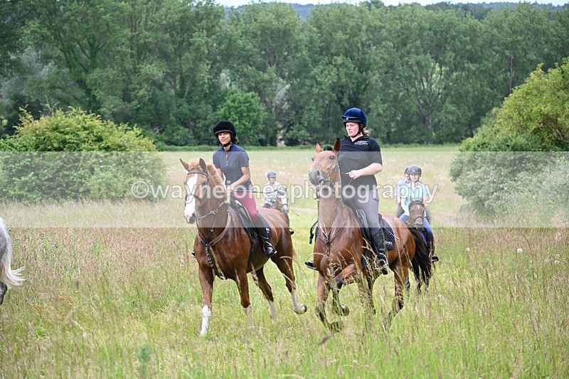 WJ6_8422 - Camera 1 Gallops