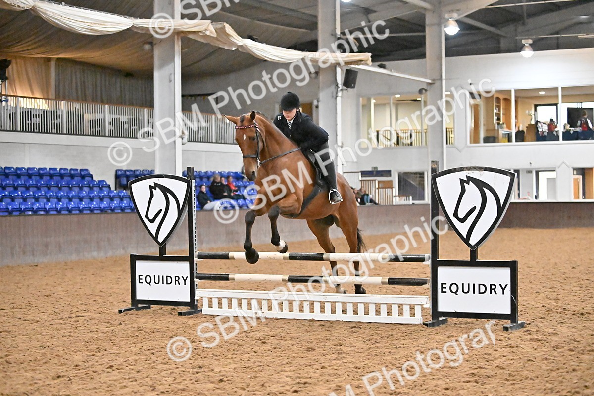 SBM_003004 - Class 37,38 - UKPSAF Performance Horse & Pony