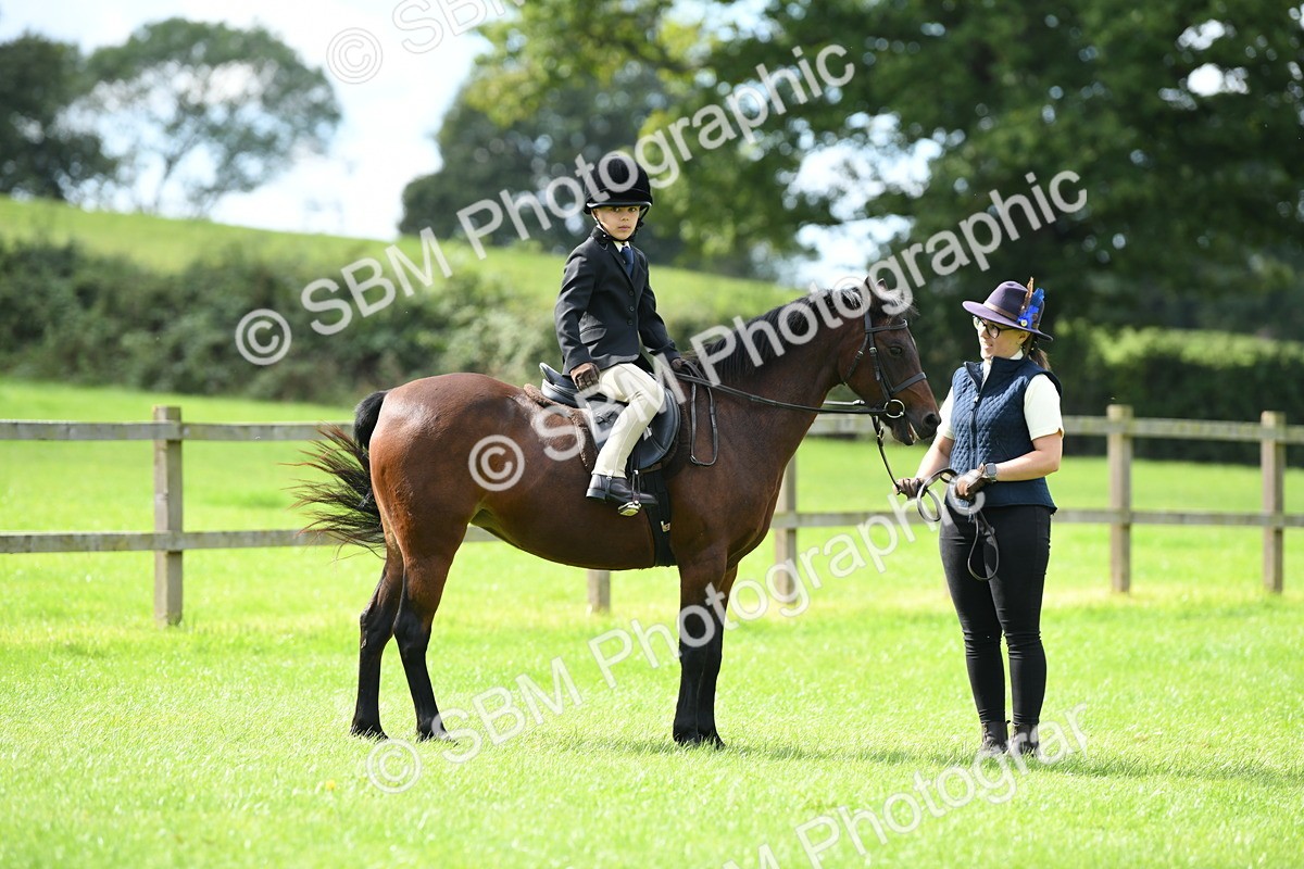 SBM_42539 - S20 - Lead Rein Mountain & Moorland Pony