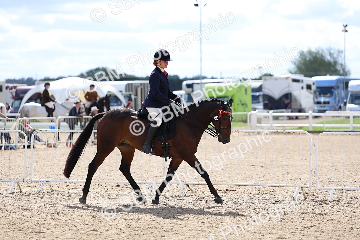 SBM_13263 - Class 311 - Ridden Show Pony Show Hunter Pony