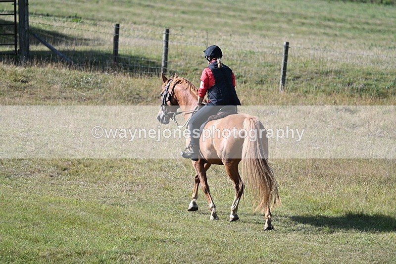 WJ7_3258 - Time 09:42 to 10:02