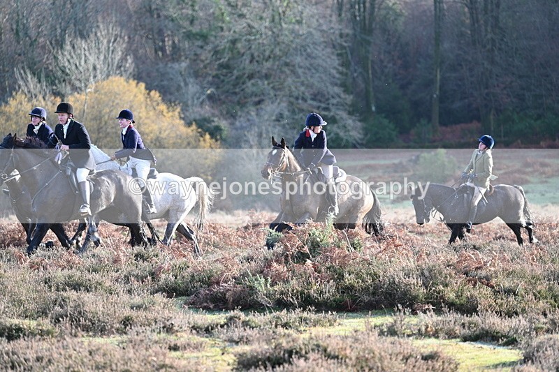 WJ7_7918 - Line 3 (no line 4 or 5)