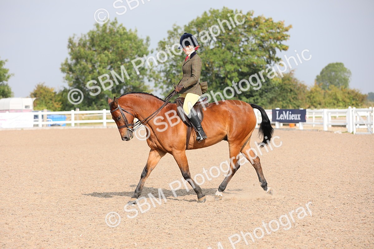 SBM_10911 - Class 304 Ridden Part Bred Horse/Pony