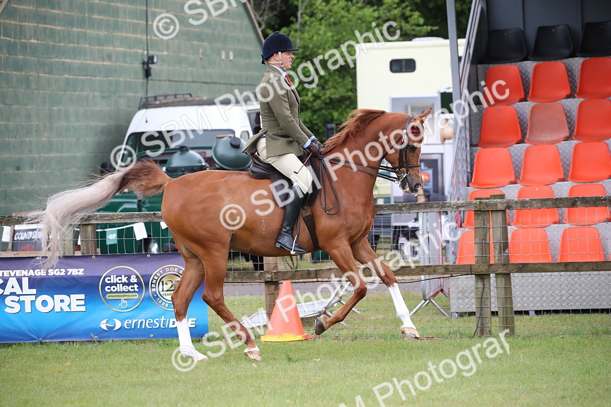 SBM_03613 - Class 21 - 22 - Ridden Arab and Part Bred/Anglo Arab