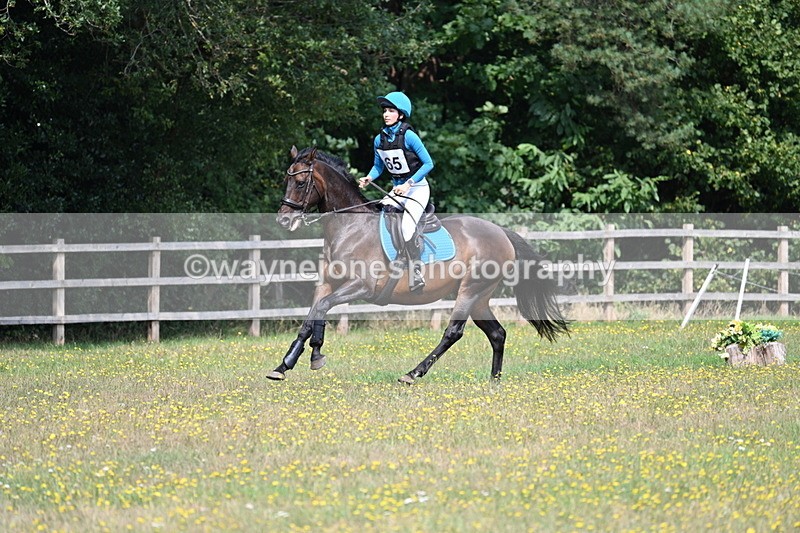 WJ7_1612 - XC Time 11:41 to 11:54