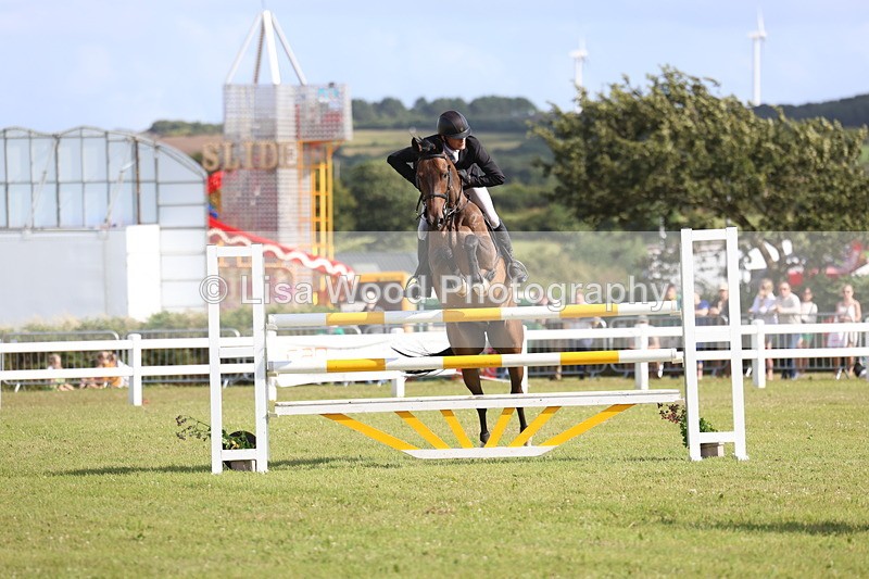 3E7A3556 - Class B: Showjumping Accumulator