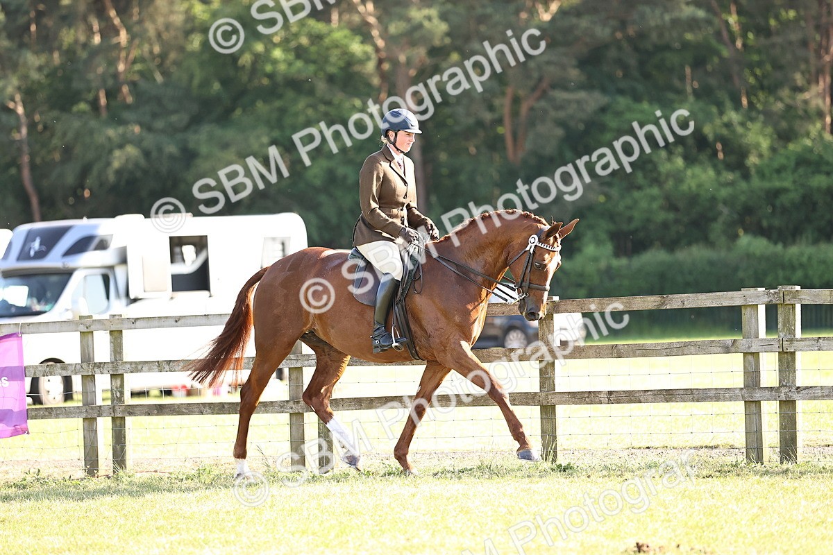 SBM_19767 - Class 87-88 - RIHS BSHA Riding Horses
