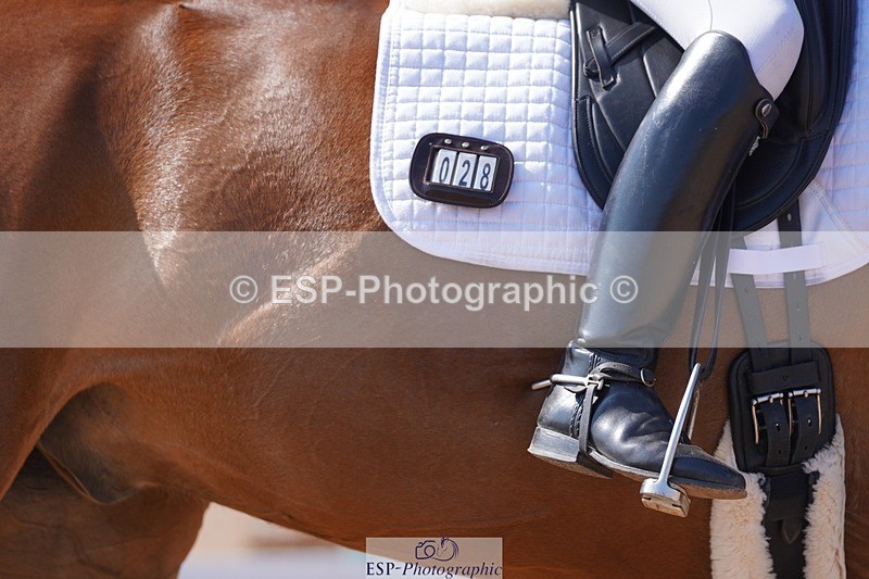 250404-122512-05650 - 028-Elizabeth.Allen-Heraldik