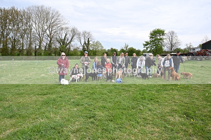 WJ6_8185 - Class 2 Best Pedigree