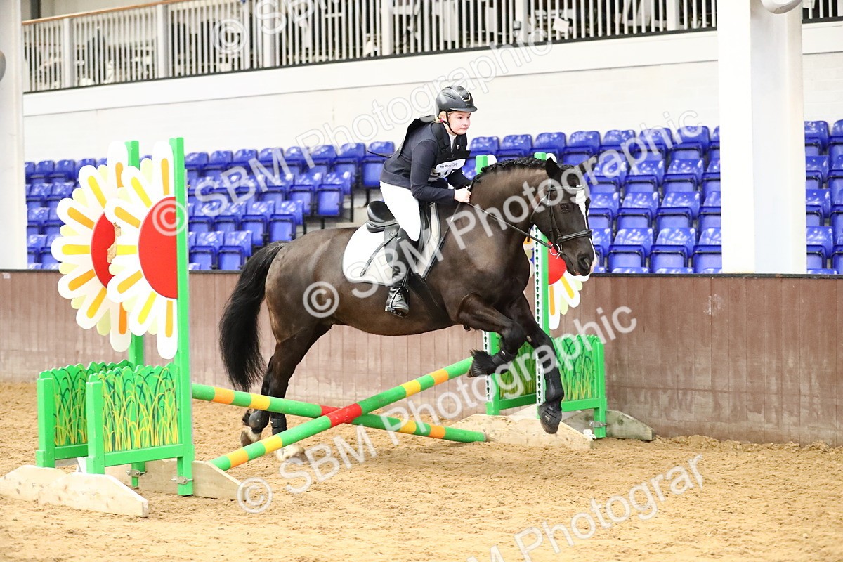 SBM_001235 - Class 3 - 50cm