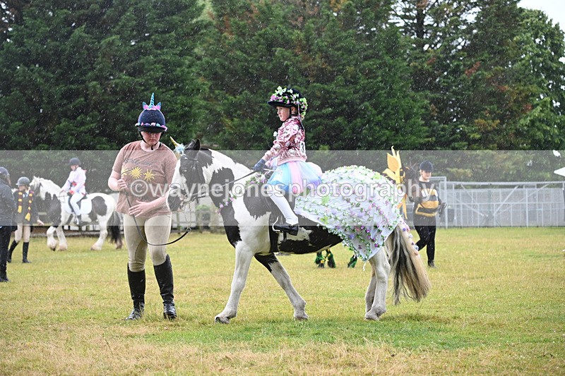 WJ6_9204 - Class 11 Fancy Dress