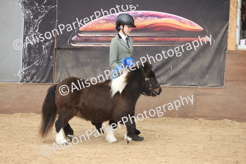 20251109-0425 - Class 15 - Coloureds