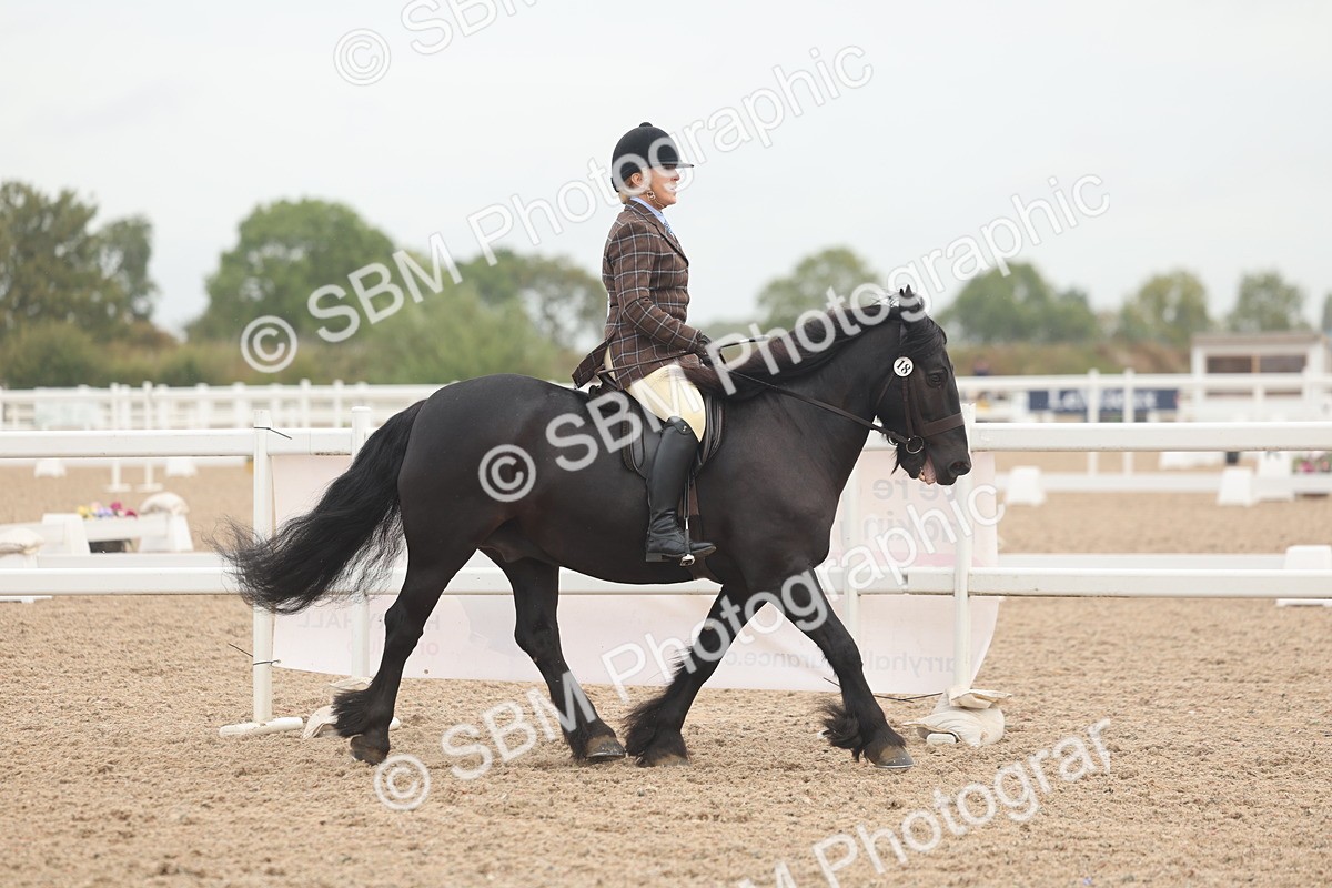 SBM_01872 - Class 14 - Ridden M&M Wildcard