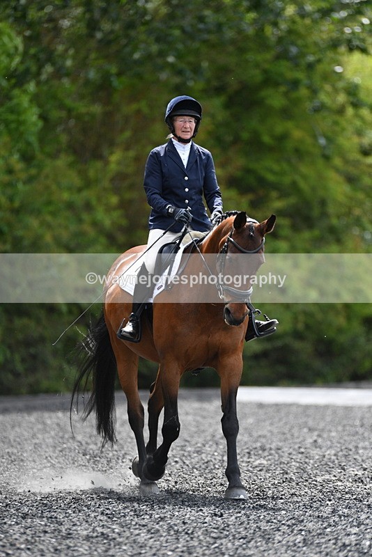 WJ5_0741 - Time 13:04 to 13:42