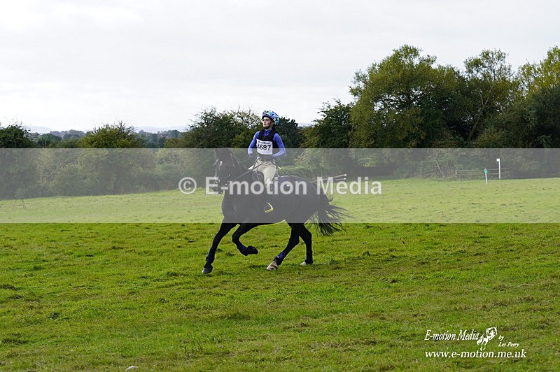  WWHT 031021 2394 - Novice Pairs (0.80m)  03/10/21