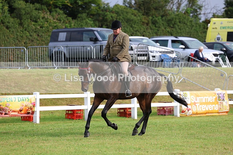 3E7A8049 - Class 2: Rising Star Large Hack/Riding Horse