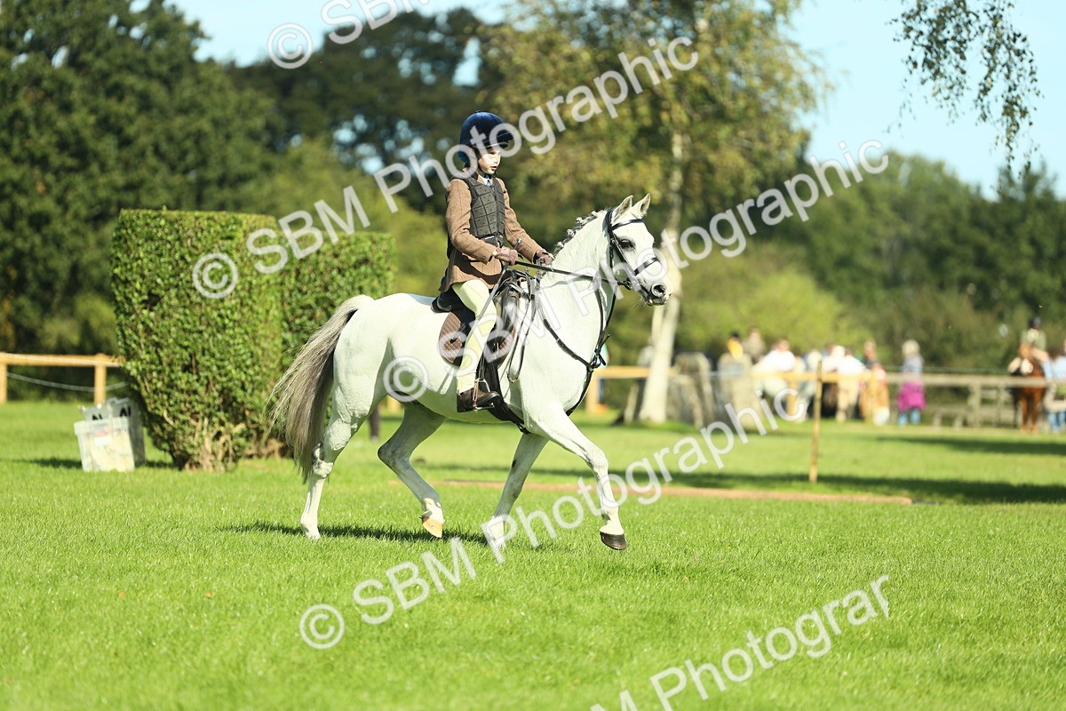 SBM_39192 - S29 - Novice & Newcomers Working Hunter Pony