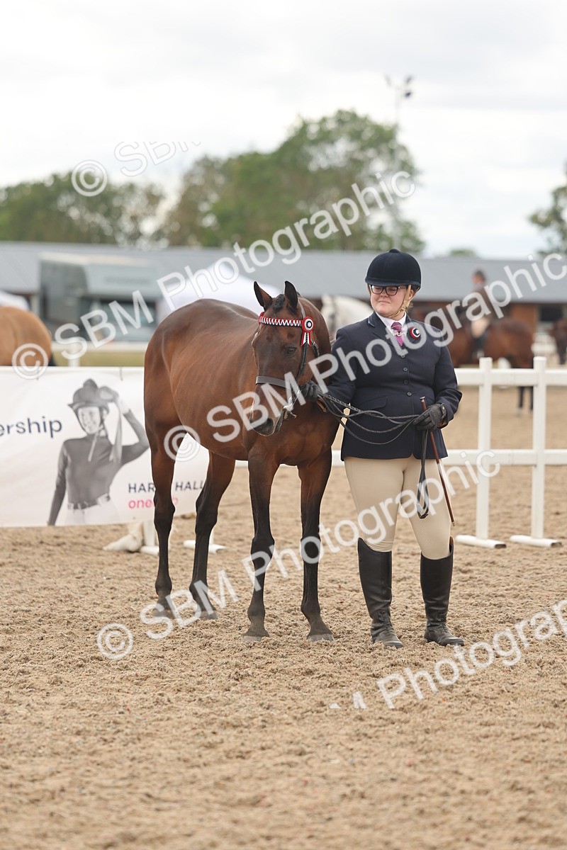 SBM_17139 - Class 313 - IH Retired Racehorse
