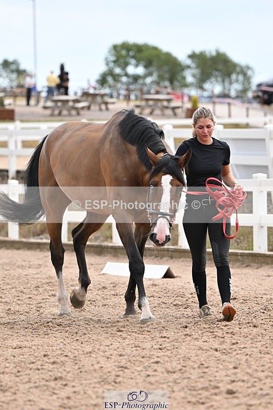 250716-145332-01482 - Trot Up 2.30 to 3.30