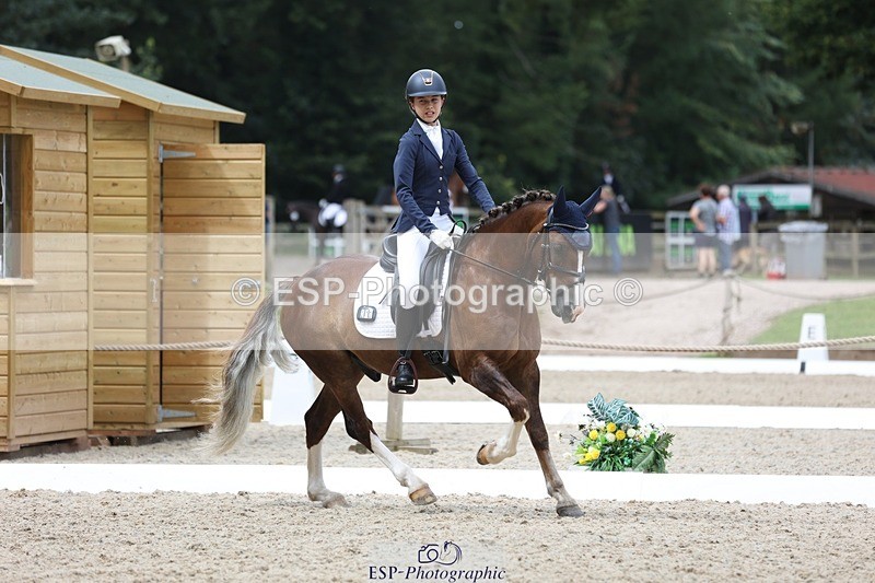 230812-120221-03912 - Cls 5 Novice Bronze 11.15 to 12.50 break