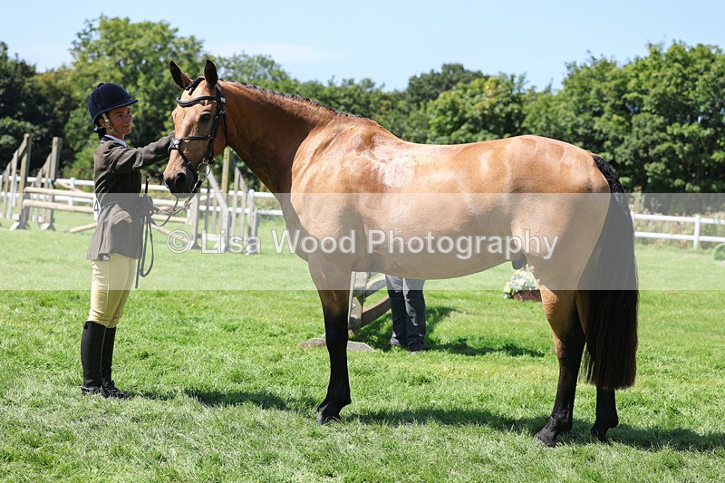 3E7A9076 - Class 6: Open Working Horse