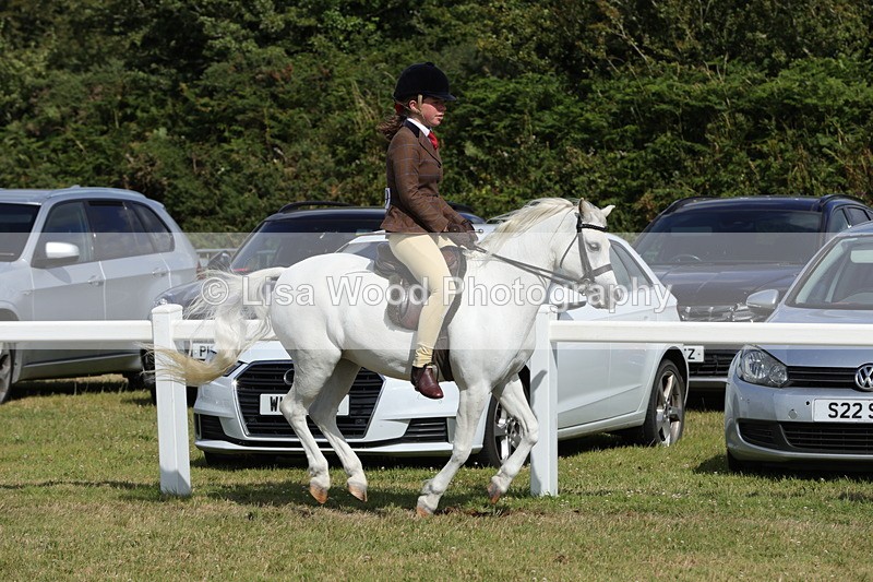 1X9A5682 - Class 40: NPS Welsh A & B