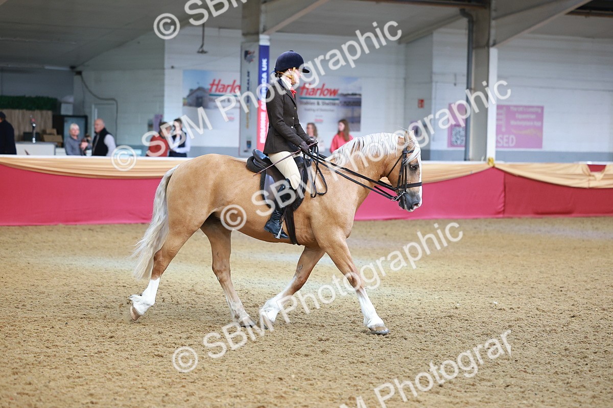 SBM_09487 - Class 102 - HOYS Veteran Qualifier - Ridden Veteran