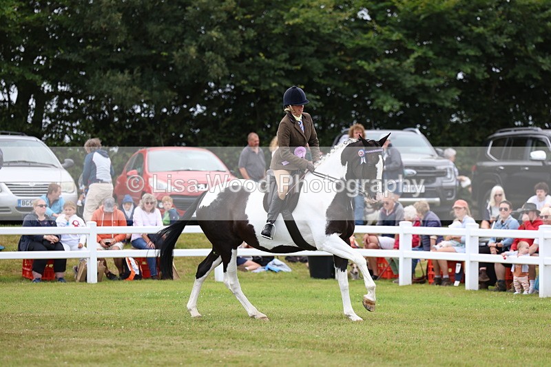 3E7A1313 - Class 8: Open Riding Horse/Hack