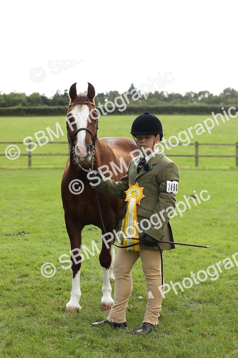 SBM_65526 - S47 - Mountain & Moorland In Hand Large Breeds