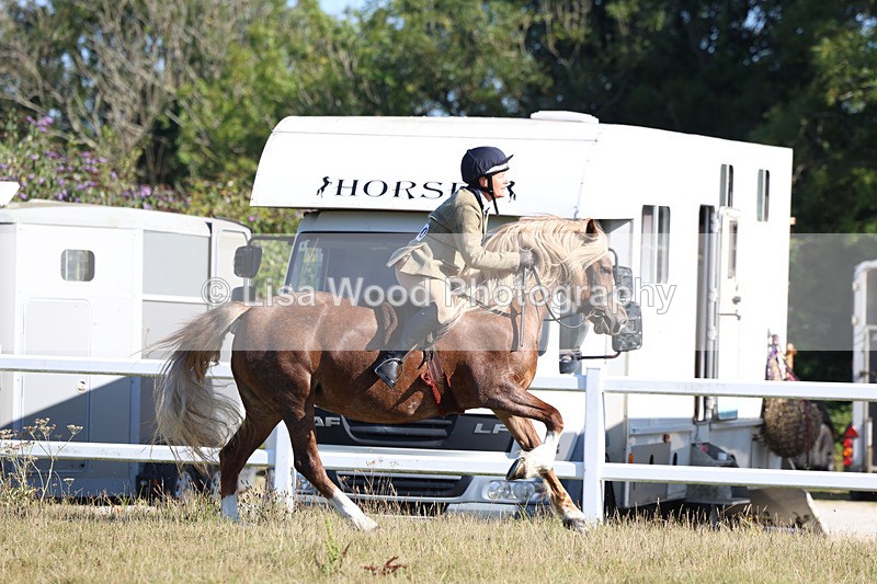 3E7A5442 - Class 3: Working Hunter 70cm