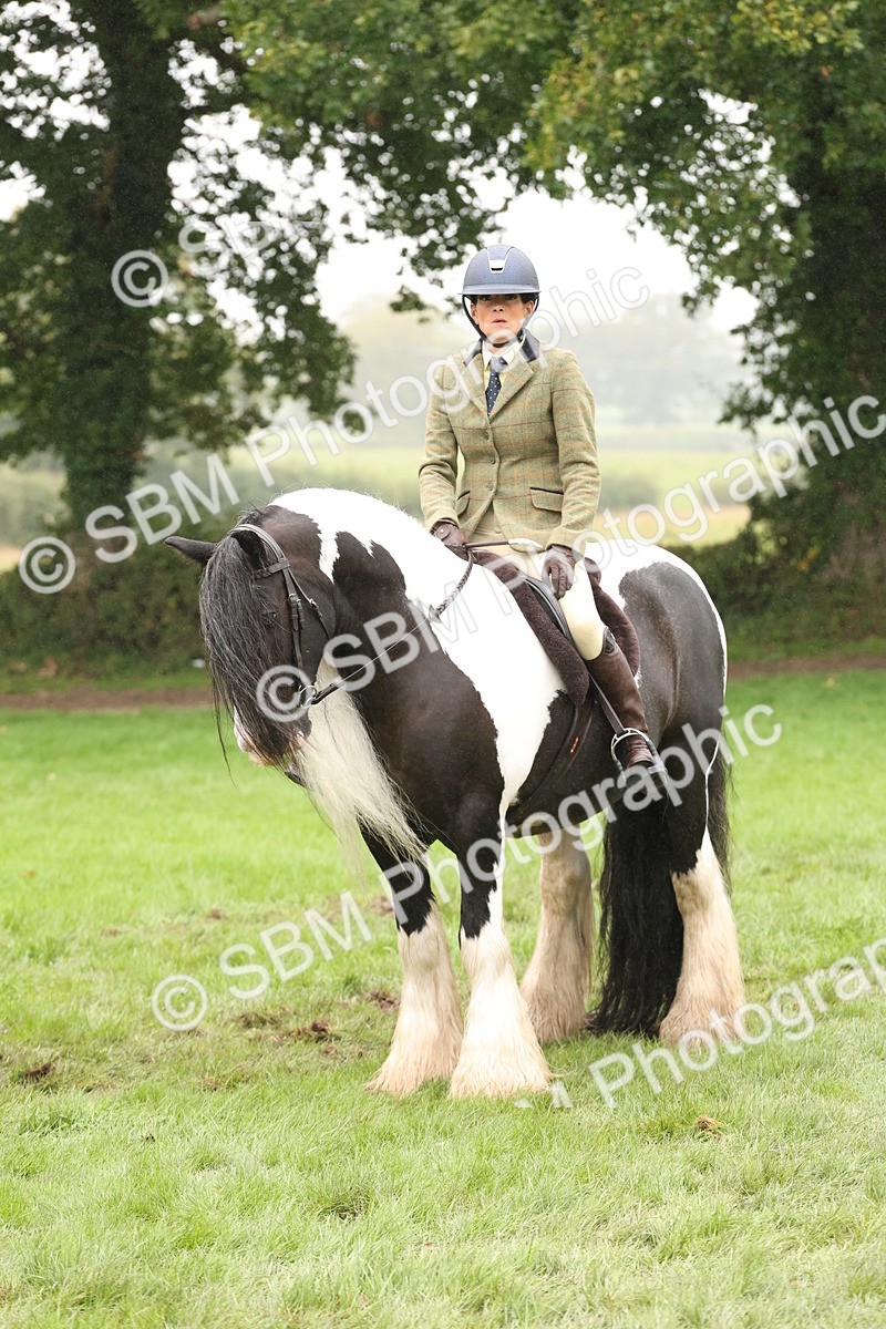 SBM_72768 - S70 - Traditional Cob Ridden