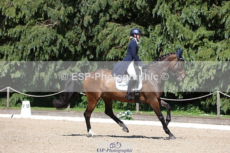 230526-151518-06662 - 379-QUIZICAL_Z-Alice_Hallows-WEDTrotUp+DR