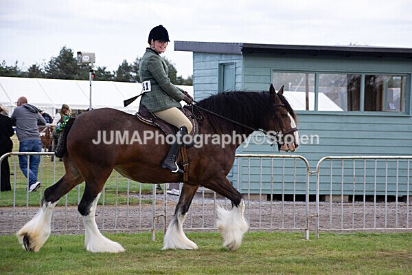 DSC_0221 - Ring 1