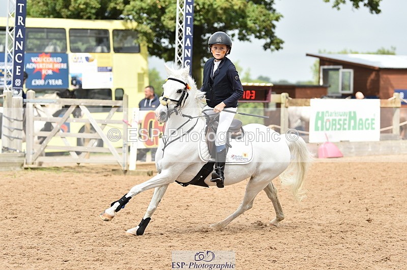 230902A-114846-00854 - Cls 2B Pony Small 80cm