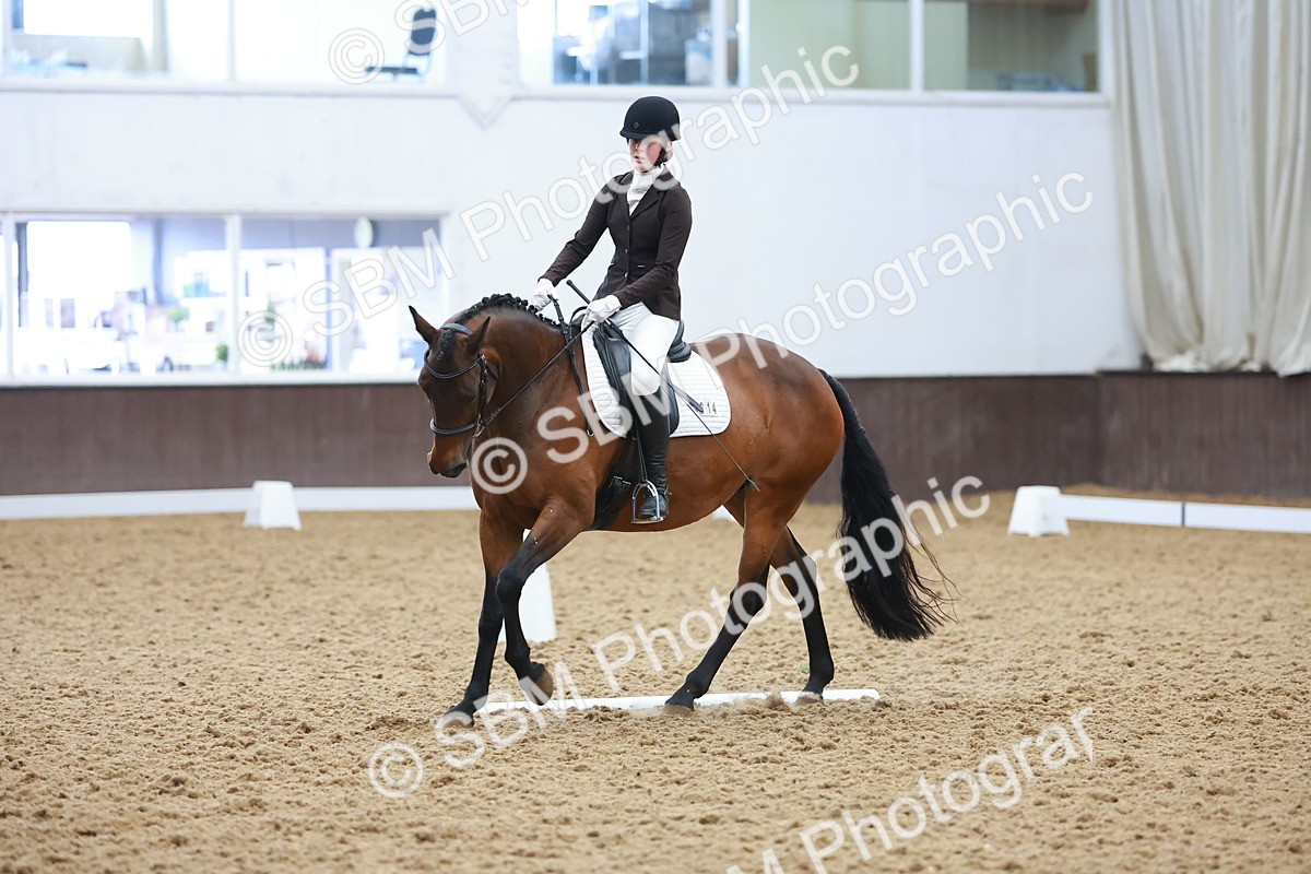 SBM_007585 - Class 4-5-6 - Prel 3-Novice 2-Ele 2