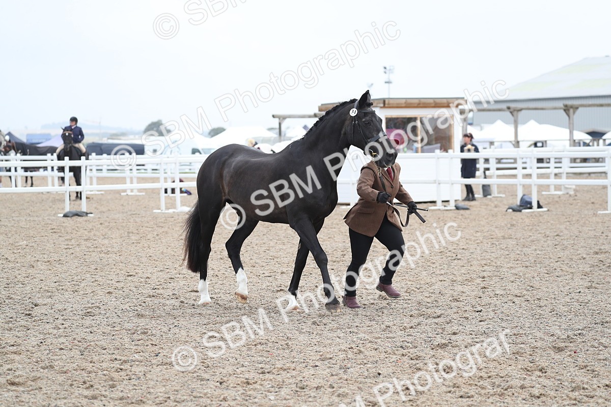 SBM_22537 - Class 604 - 2025 Area - IH Diamond