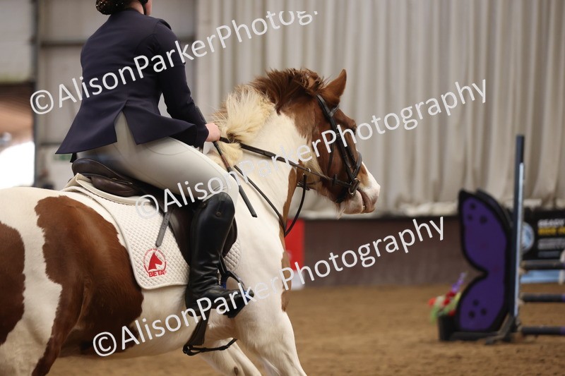 20260314-3582 - 80cm