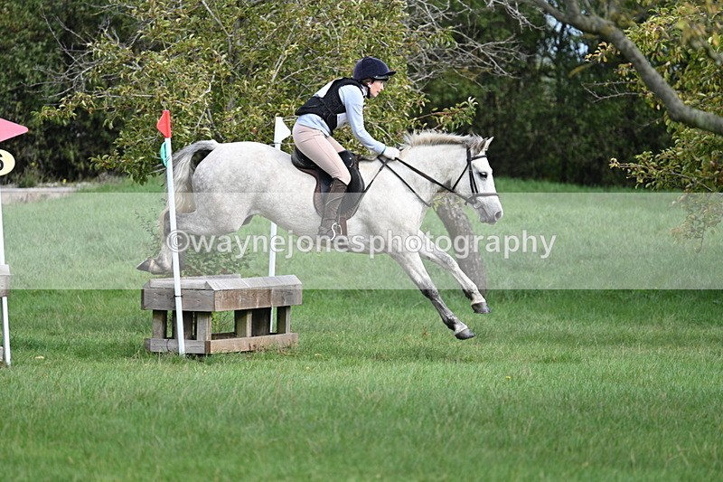 WJ7_8428 - 60cm Pairs