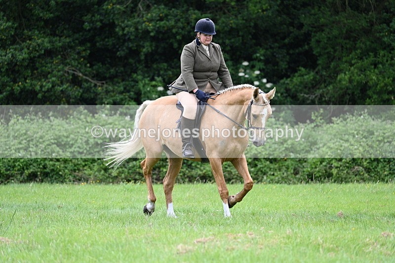 WJ7_2107 - Class 12A Coloured Class