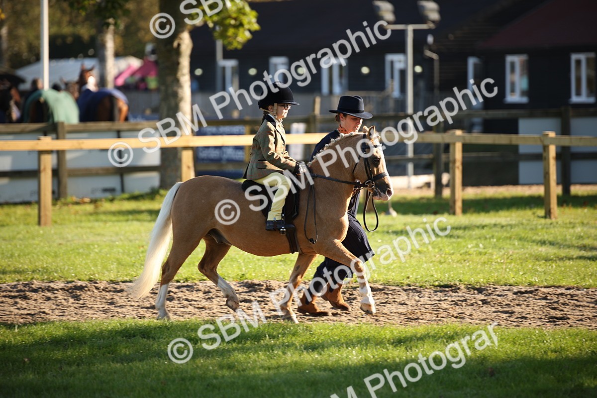 SBM_34179 - S9 - Lead Rein Equitation