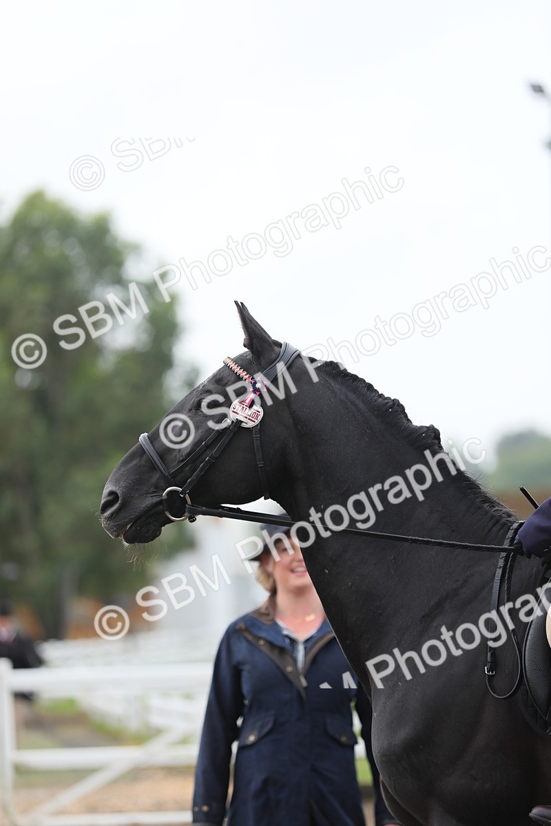 SBM_21304 - Class 805 - Ridden Veteran Horse