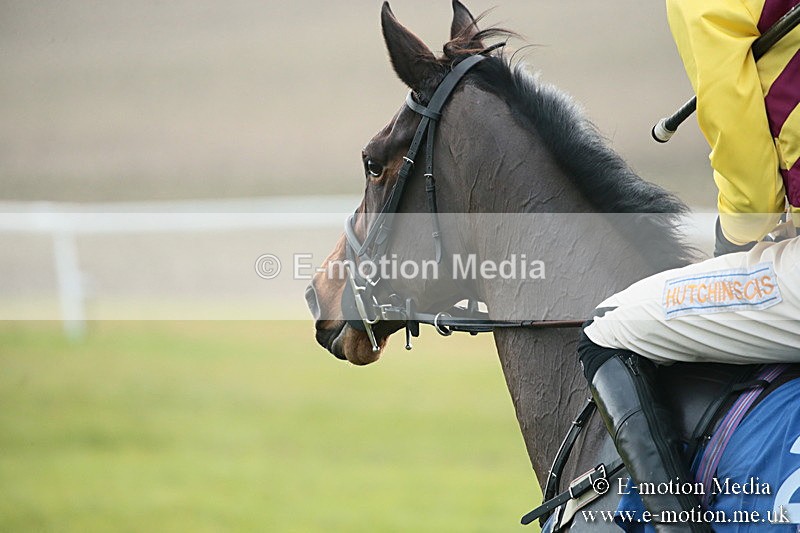 PtP 251118-128 - Vine & Craven Point-to Point Barbury Racecourse 25/11/18