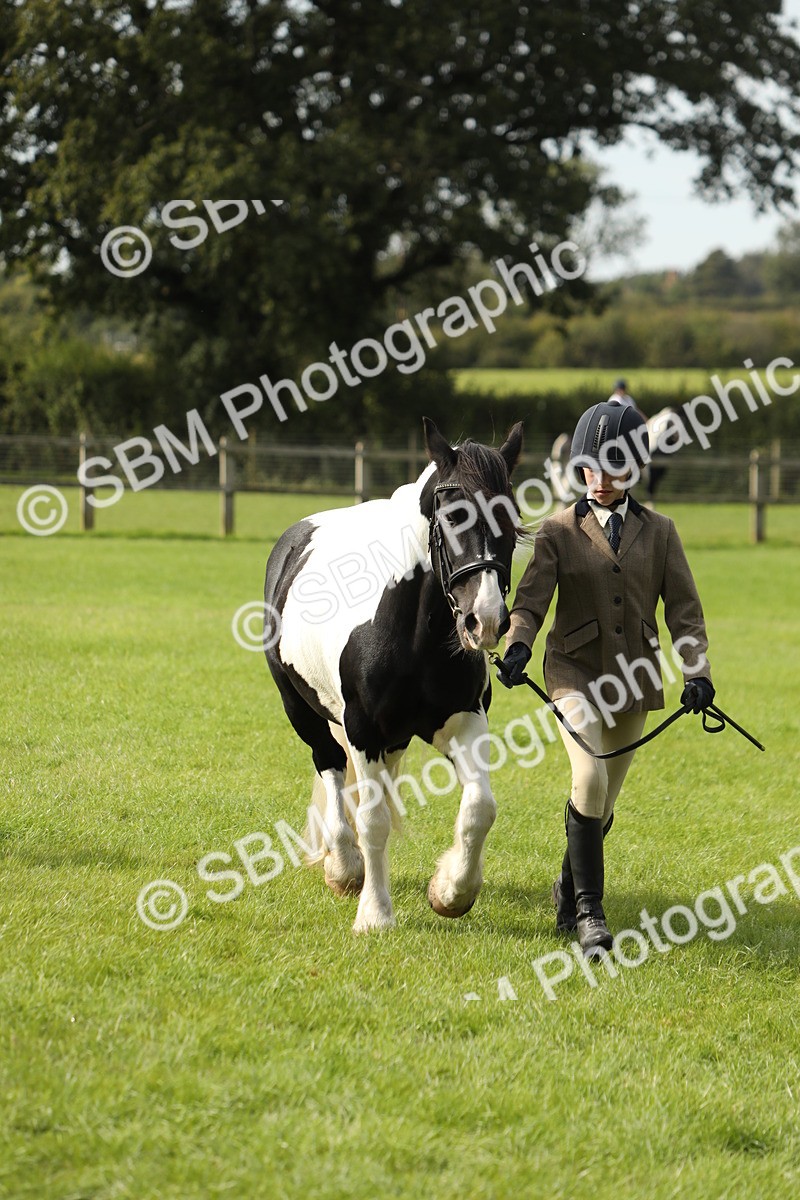 SBM_68695 - S40 - Junior Handler 9-12 Years