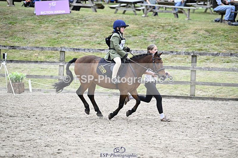 240822X-125933-07741 - 40cm LR R2 13.00 to 15.00