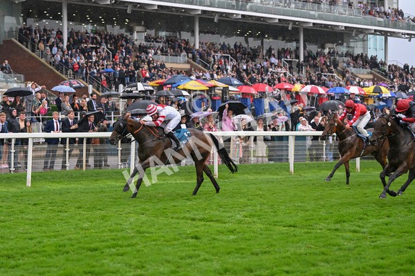 080924-Race 7-Young Fire-9724 - Race 7 5.10pm Elevator Company Amateur Jockeys' Handicap