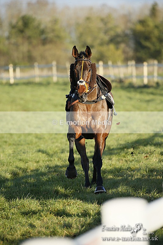 PtP 121220 640 - Avon Vale Races Larkhill 12/12/20