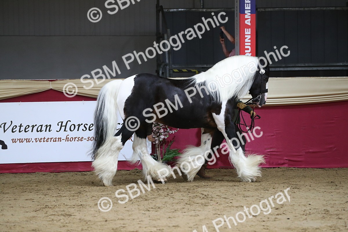 SBM_06355 - Class 9R Regional- IH Pre Vet