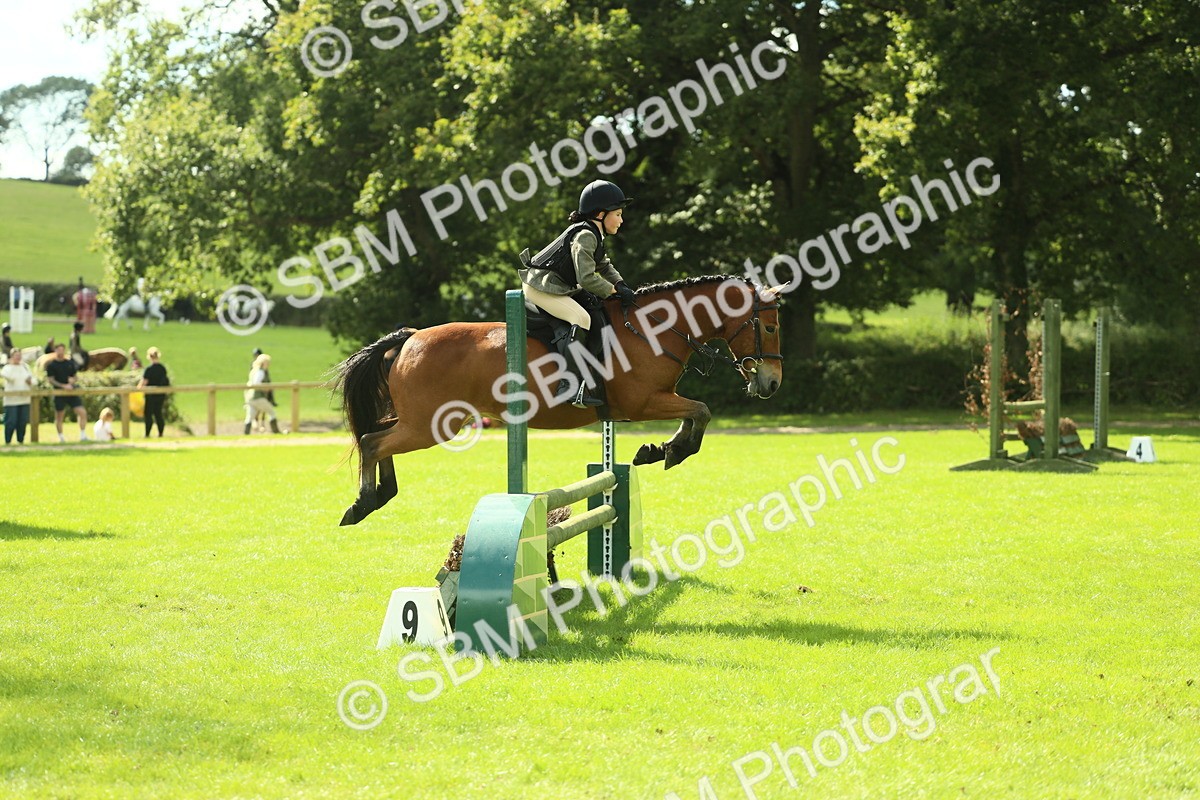 SBM_44622 - S31 - Working Hunter Pony