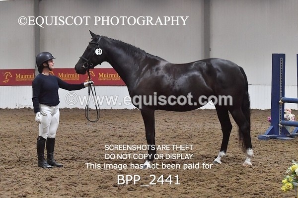 BPP_2441 - AFTERNOON 12.30 - 3.30PM